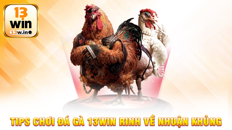 Đá gà 13Win - Trải Nghiệm Đỉnh Cao Với Các Trận Đấu Kịch Tính - 13win - KEBONI