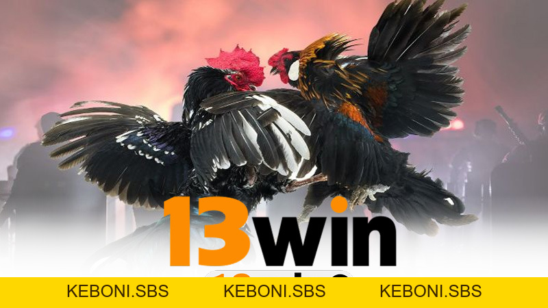 Tin tức - 13win - KEBONI